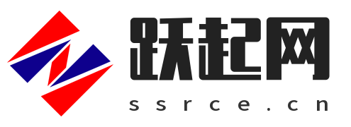 跃起网
